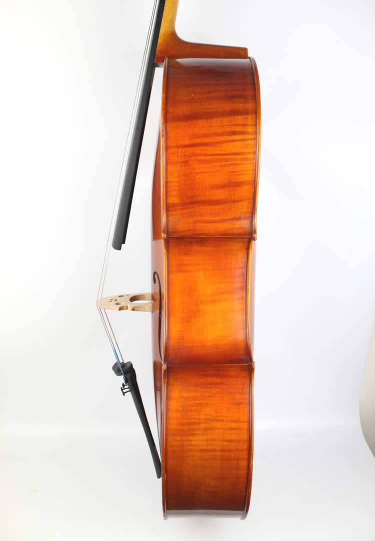 Bnineteenteam Violín eléctrico de 4/4 violín Violín eléctrico de Madera de tamaño Completo Violín de Arce de ébano violín con Auriculares de colofonia y más 
